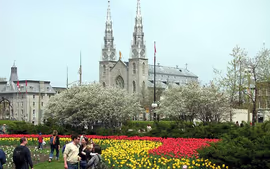 CANADA MAGNIFICA 2026