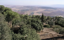 FLEXITRAVEL 4 MARES DE ISRAEL 