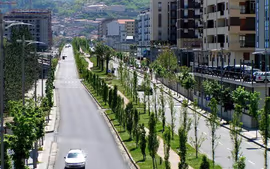 TOUR DE CALABRIA (Salida desde Bari)