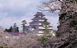 Encantos de Japón Fin Tokio