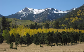 Las Vegas y Gran Cañón