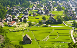 Viaje al Corazón de Japón