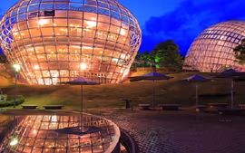 Descubriendo Kamakura y Monte Fuji