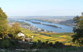 Rin Romántico y Alsacia – VISTARIO Superior