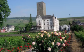Londres, París e Italia (Bus)