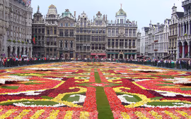 París y Países Bajos