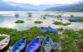 NEPAL, TEMPLOS Y SAFARI