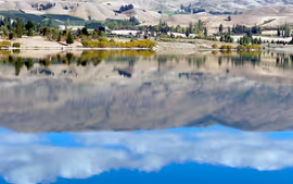 NUEVA ZELANDA TRADICIONAL