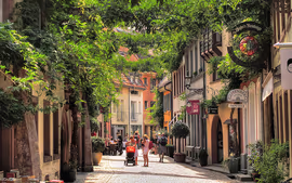 LO MEJOR DE LA SELVA NEGRA Y ALSACIA