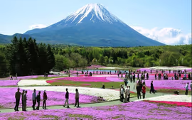 GRAN JAPON 10 DIAS (TOKYO- TOKYO)