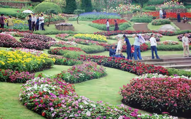 SUPER TAILANDIA CON INDIA - EXCLUSIVO SPECIAL TOURS