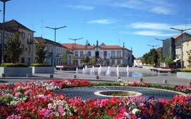 OPORTO, GALICIA, SALAMANCA, MADRID, ANDALUCIA Y COSTA DEL SOL