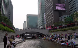 COLORES DE COREA CON ISLA DE JEJU (Guía de habla hispana) (desde Noviembre 2025)