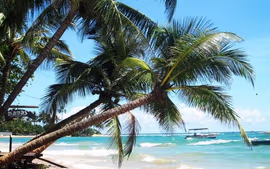 SRI LANKA, LA LAGRIMA  DE LA INDIA Y EXTENSION PLAYA HOTEL TRINCO BLU (desde Mayo 2026 a Octubre 2026)