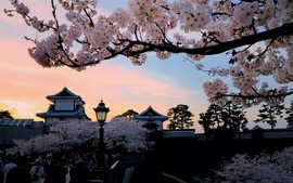 JAPON BANZAI Y COREA (TOKYO - TOKYO)