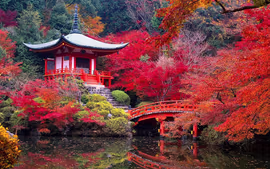 SUPER JAPON (TOKYO-TOKYO) - EXCLUSIVO SPECIAL TOURS (Desde Abril 2027)