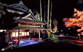 JAPON BANZAI Y COREA (TOKYO - SEÚL)
