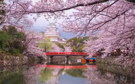 Maravillas de Japón