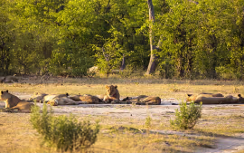 SUDAFRICA EN RESERVA PRIVADA