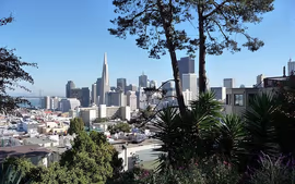 SAN FRANCISCO MARAVILLOSA 2026