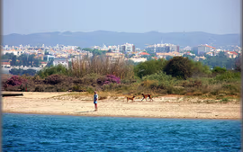 SE5008-Portugal al Completo con Santiago