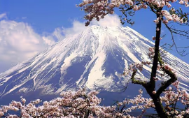 Sonhos da China e do Japão