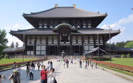 JAPÓN (MIKATOUR EXPRESO)