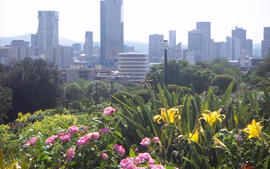 DESCUBRIENDO SUDAFRICA Y CATARATAS VICTORIA (ZIMBABWE) CON CHOBE