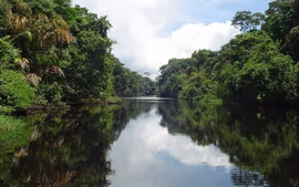 Descubre Costa Rica - Vuelos desde Santiago de Chile