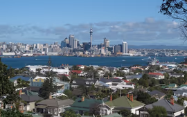 NUEVA ZELANDA MAGICA