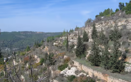 PEREGRINACIÓN A TIERRA SANTA Y ROMA 