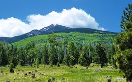 Los Ángeles, Las Vegas y el Gran Cañón Fin Los Ángeles