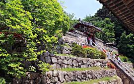 Caminos de Corea