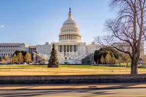 Chicago, Niágara y Nueva York fin Washington