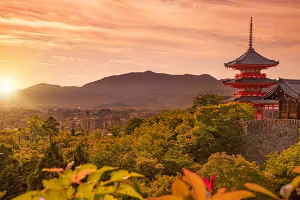 Japón Esencial