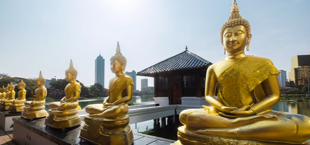 Sri Lanka: playas, cultura y naturaleza