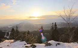 Subida en funicular a Mount Flouyen.