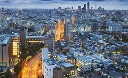 Cómodo traslado a su hotel en Tokyo