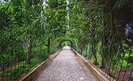 Pasea por la Alhambra y los jardines del Generalife en Granada