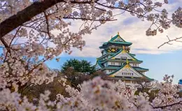 Descubre el impresionante Castillo de Osaka y sus jardines de cerezos