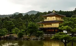 Descubrimiento del templo Dorado Kinkaku-ji, un ícono de Kyoto.