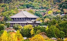 Encuentro con la historia en Nara, hogar del Buda Gigante