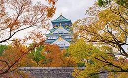Exploración del histórico Castillo de Osaka.