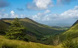 Safari en el Parque Nacional de Aberdare