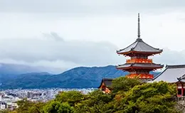 Visita al Templo Zojoji y cruzando Shibuya