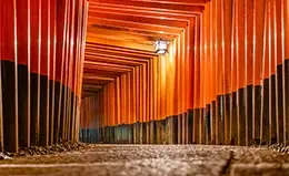 Exploración del Santuario de Fushimi Inari, con sus icónicos toriis.