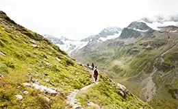 Explore los Alpes y la región del Tirol.