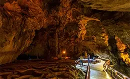 Magia subterránea en las Waitomo Glowworm Caves