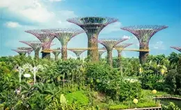 Oportunidad de visitar Gardens by the Bay.