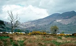 Paseo en coche de caballos en el Parque Nacional de Killarney